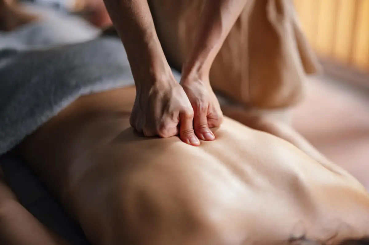 Relaxation massage in Seminole, FL at Sunny Massage Spa